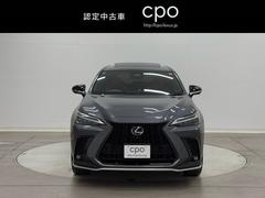 �Σ� �Σأ��������ƥ��ݡ��ġ��ܳס�����ߥۥ����롡�ϥǥ� 9503538A20260128Y002 2