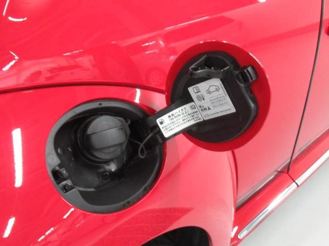 ザ・ビートル デザイン（34枚目）