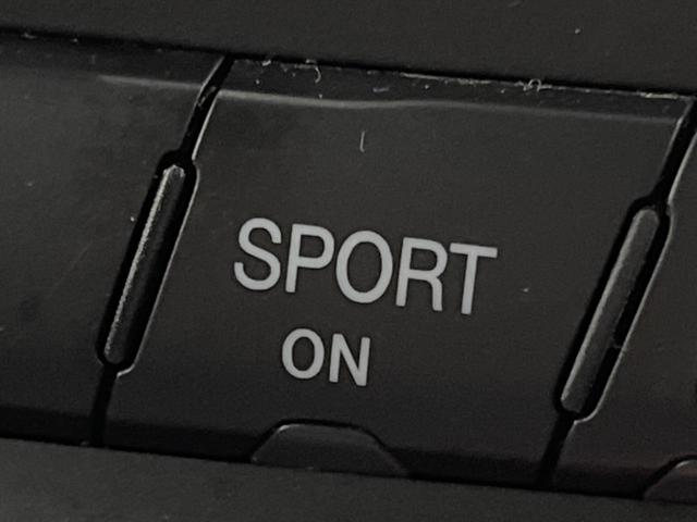 ジープ・グランドチェロキー リミテッド　純正ナビ　地デジ　リアビューカメラ　アダプティブクルーズコントロール　ブラインドスポットモニター　ベンチレーション　純正１８インチアルミ　パワーバックドア　ＨＩＤヘッドランプ　ＡＬＰＩＮＥ製サウンド（48枚目）