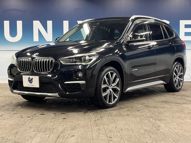 X1 xDrive 18d xライン アドバンスドアクティブセーフティパッケージ コンフォートパッケージ ハイラインパッケージ 純正ナビ フルセグ バックカメラ ドライビングアシスト パークディスタンスコントロール LEDヘッドライト(22枚目)