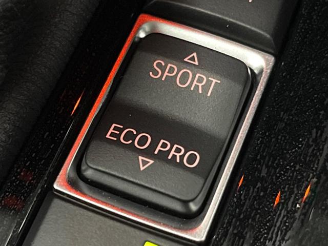 X1 xDrive 18d xライン アドバンスドアクティブセーフティパッケージ コンフォートパッケージ ハイラインパッケージ 純正ナビ フルセグ バックカメラ ドライビングアシスト パークディスタンスコントロール LEDヘッドライト(52枚目)