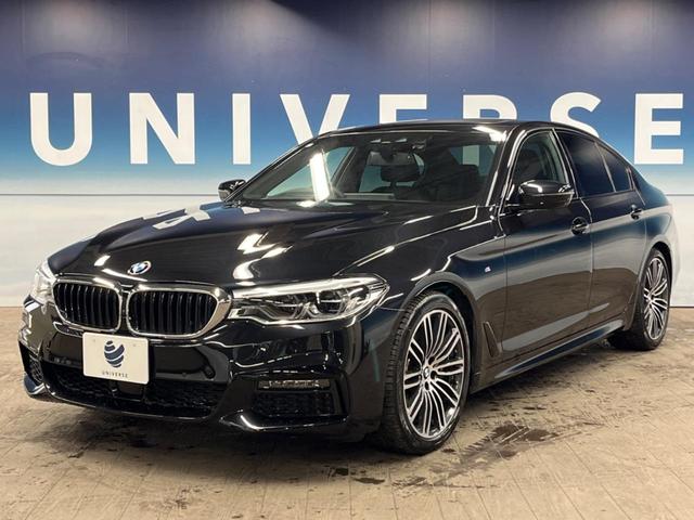 ５シリーズ ５３０ｉ　Ｍスポーツ　セレクトパッケージ　パーキングアシストプラス　ドライビングアシストプラス　純正ナビ　フルセグ　黒革シート　シートヒーター　パワーシート　パワーバックドア　ＬＥＤヘッドライト　ＬＥＤフォグライト　ＥＴＣ（22枚目）
