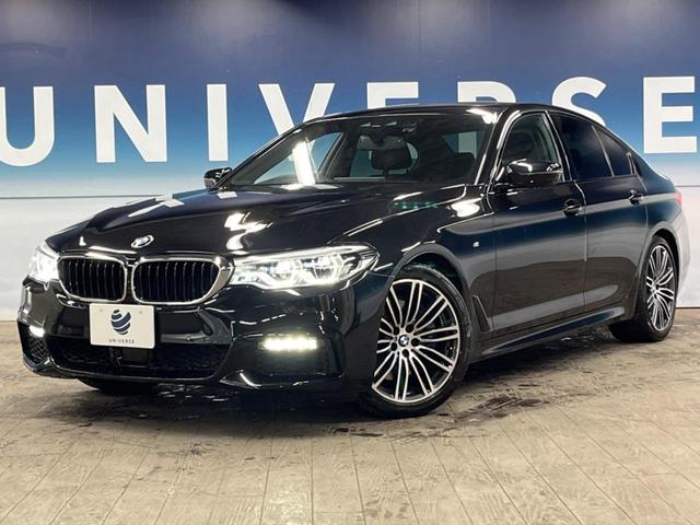 ５シリーズ ５３０ｉ　Ｍスポーツ　セレクトパッケージ　パーキングアシストプラス　ドライビングアシストプラス　純正ナビ　フルセグ　黒革シート　シートヒーター　パワーシート　パワーバックドア　ＬＥＤヘッドライト　ＬＥＤフォグライト　ＥＴＣ（24枚目）
