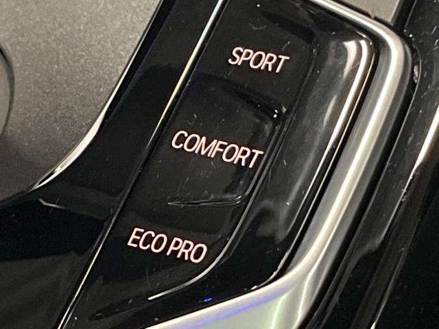 ５シリーズ ５３０ｉ　Ｍスポーツ　セレクトパッケージ　パーキングアシストプラス　ドライビングアシストプラス　純正ナビ　フルセグ　黒革シート　シートヒーター　パワーシート　パワーバックドア　ＬＥＤヘッドライト　ＬＥＤフォグライト　ＥＴＣ（49枚目）