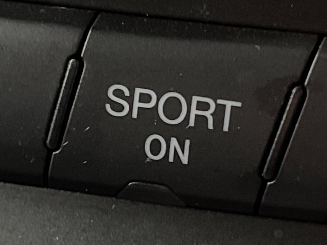 ジープ・グランドチェロキー アルティテュード 純正ナビ 地デジ リアビューカメラ 革/スエードコンビシート 純正20インチブラック塗装アルミ HIDヘッドランプ パワーシート シートヒーター スマートキー ETC(48枚目)