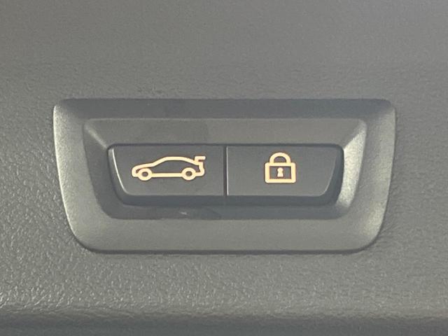 Ｘ３ ｘＤｒｉｖｅ　２０ｄ　Ｍスポーツハイラインパッケージ　セレクトパッケージ（パノラマサンルーフ／ｈａｒｍａｎｋａｒｄｏｎ）　ハイラインパッケージ（革シート／シートヒーター）　パーキングアシストプラス　ドライビングアシストプラス　純正ナビ　パワーバックドア（46枚目）