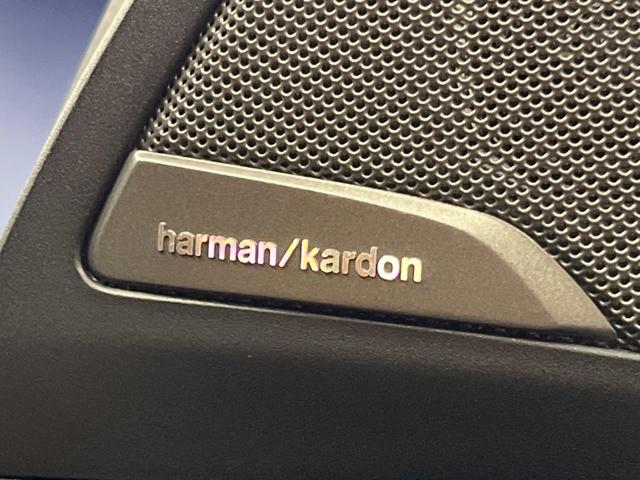 Ｘ３ ｘＤｒｉｖｅ　２０ｄ　Ｍスポーツハイラインパッケージ　セレクトパッケージ（パノラマサンルーフ／ｈａｒｍａｎｋａｒｄｏｎ）　ハイラインパッケージ（革シート／シートヒーター）　パーキングアシストプラス　ドライビングアシストプラス　純正ナビ　パワーバックドア（49枚目）