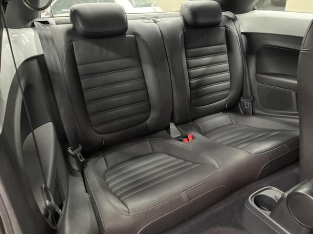 ���㕔���Ȃ��C�ɂȂ�悤�ȃL�Y�E�����ւ��蓙�A�傫�ȃ_���[�W�͂Ȃ��A�ǍD�ȏ�Ԃł��B