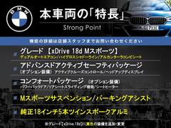 Ｘ１ ｘＤｒｉｖｅ　１８ｄ　Ｍスポーツ　アドバンスドアクティブセーフティパッケージ　コンフォートパッケージ 9503546A20240416Q001 3