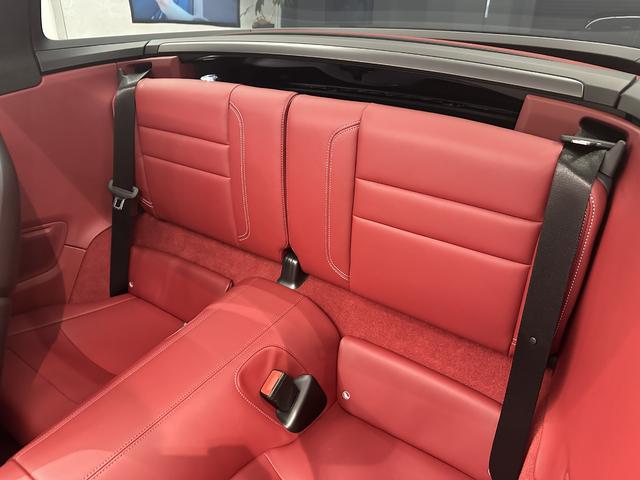 911 911タルガ4 ブラックラッピング・PDLS・21インチ(18枚目)