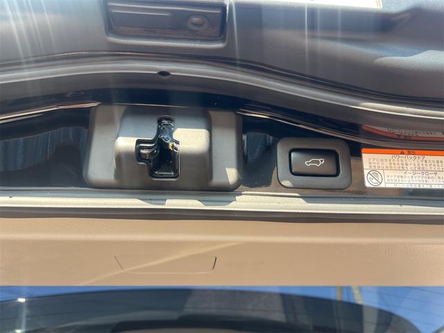 ＬＸ ＬＸ５７０　サンルーフ　三眼ＬＥＤライト　ナビＴＶ　パノラミックビユーモニター　ドライブレコーダー　ＥＴＣ　ＨＵＤ　クールボックス　シートヒーターとクーラー　レクサスセフティーシステム　クルーズ　パワバックドア（37枚目）