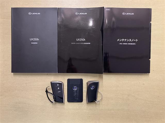 ＵＸ ＵＸ２５０ｈ　バージョンＣ　衝突被害軽減システム　ＥＴＣ　１７インチアルミホイール　オートクルーズコントロール　ＬＥＤヘッドランプ　オートマチックハイビーム　パワーシート　シートヒーター　メモリーナビ　ＤＶＤ再生　バックカメラ（20枚目）