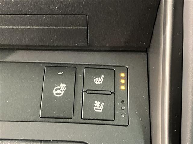 ＩＳ ＩＳ３００　ＦスポーツモードブラックＳ　衝突被害軽減システム　ＥＴＣ　アルミホイール　オートクルーズコントロール　レーンアシスト　ＬＥＤヘッドランプ　オートマチックハイビーム　パワーシート　シートヒーター　メモリーナビ　バックカメラ（17枚目）