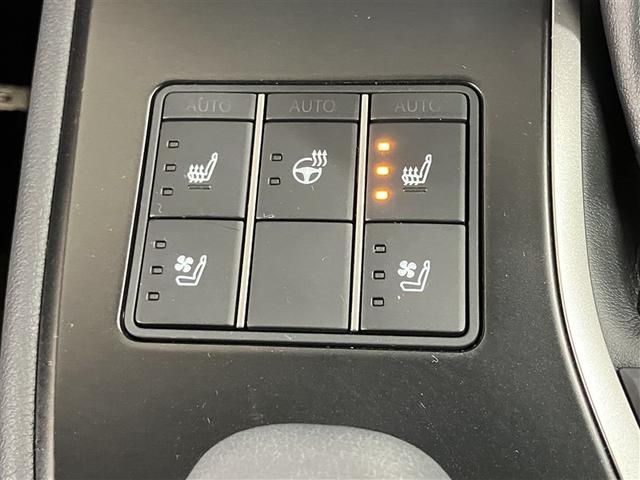 ＵＸ ＵＸ２５０ｈ　バージョンＬ　衝突被害軽減システム　ＥＴＣ　１８インチアルミホイール　オートクルーズコントロール　ＬＥＤヘッドランプ　電動リアゲート　オートマチックハイビーム　革シート　パワーシート　シートヒーター　メモリーナビ（16枚目）