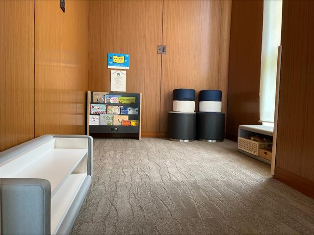 ＵＸ ＵＸ２５０ｈ　バージョンＬ　衝突被害軽減システム　ＥＴＣ　１８インチアルミホイール　オートクルーズコントロール　ＬＥＤヘッドランプ　電動リアゲート　オートマチックハイビーム　革シート　パワーシート　シートヒーター　メモリーナビ（27枚目）