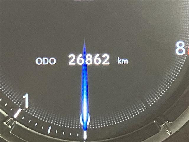 ���N�T�X�Ԃ炵���ו��܂ł���������������ƌ���l����ڂŗ��ɂ���G���[�V���i���Ȗ��͂��������킹�Ă���܂��B