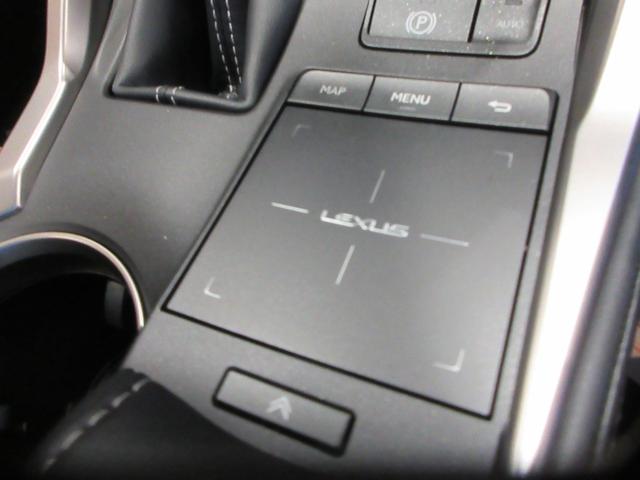 ＮＸ ＮＸ３００　バージョンＬ　パノラマルーフ　全周囲カメラパノラミックビューモニター　純正ドライブレコーダー　ベンチレーション機能付きシートエアコン　認定中古車ＣＰＯ（36枚目）
