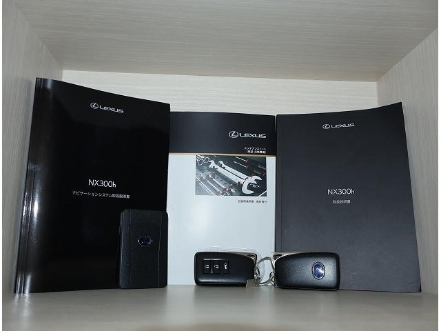 NX NX300h Fスポーツ 本革シート ルーフレール ヘッドアップディスプレイ 全周囲カメラパノラミックビューモニター 後席電動リクライニングシート ハイブリット(42枚目)
