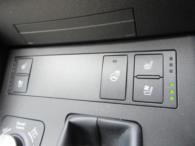 RC RC300 エモーショナルアッシュ 三眼フルLEDヘッドランプ 本革シート トルセンLSD オレンジブレーキキャリパ ターボ 認定中古車CPO 純正ナビ バックモニター(28枚目)