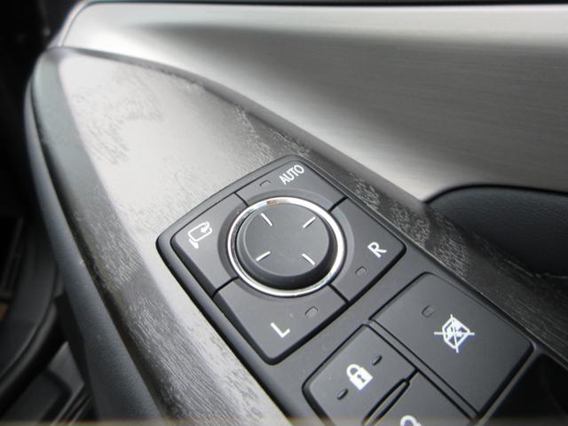 RC RC300 エモーショナルアッシュ 三眼フルLEDヘッドランプ 本革シート トルセンLSD オレンジブレーキキャリパ ターボ 認定中古車CPO 純正ナビ バックモニター(30枚目)