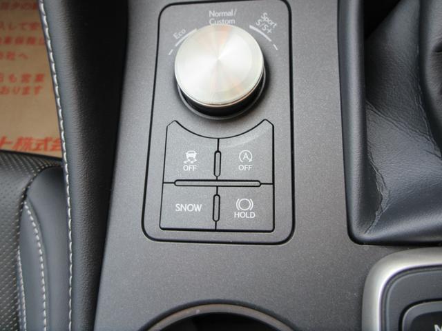 RC RC300 エモーショナルアッシュ 三眼フルLEDヘッドランプ 本革シート トルセンLSD オレンジブレーキキャリパ ターボ 認定中古車CPO 純正ナビ バックモニター(33枚目)