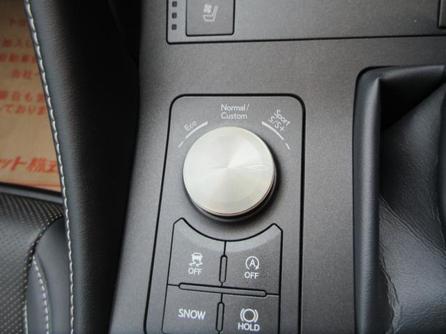 RC RC300 エモーショナルアッシュ 三眼フルLEDヘッドランプ 本革シート トルセンLSD オレンジブレーキキャリパ ターボ 認定中古車CPO 純正ナビ バックモニター(36枚目)