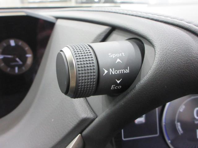 ＥＳ ＥＳ３００ｈ　バージョンＬ　マークレビンソンプレミアムサウンドシステム　セミアニリン本革シート　デジタルインナーミラー　リヤスポイラー　純正ナビ　バックモニター　ムーンルーフ　ハイブリット　認定中古車ＣＰＯ（33枚目）