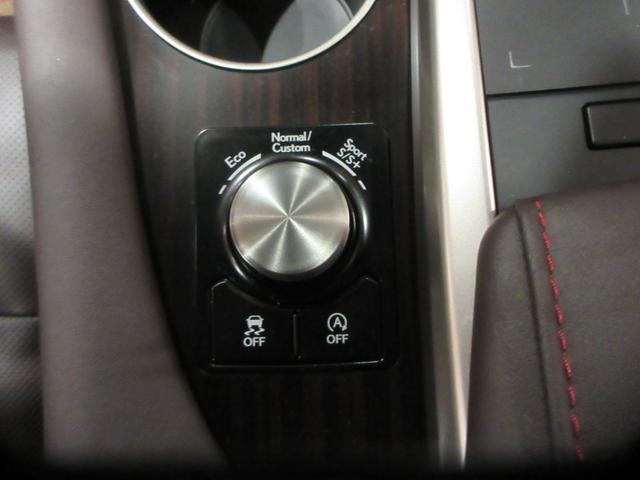 RX RX300 バージョンL セミアニリン本革シート ベンチレーション機能付きシートエアコン パノラマルーフ ルーフレール ターボ 純正ナビ バックモニター 認定中古車CPO(29枚目)