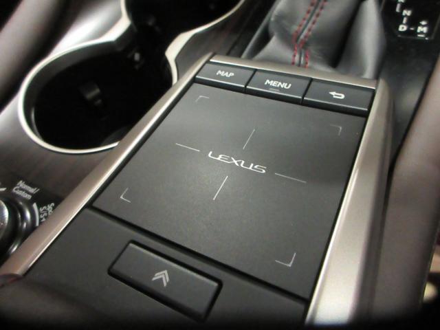 RX RX300 バージョンL セミアニリン本革シート ベンチレーション機能付きシートエアコン パノラマルーフ ルーフレール ターボ 純正ナビ バックモニター 認定中古車CPO(33枚目)