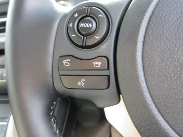 ＣＴ ＣＴ２００ｈ　バージョンＣ　Ｌ　Ｔｅｘシート　シートヒータ　ステアリングヒーター　社外ドライブレコーダー　ハイブリット　純正ナビ　バックモニター　認定中古車ＣＰＯ（30枚目）