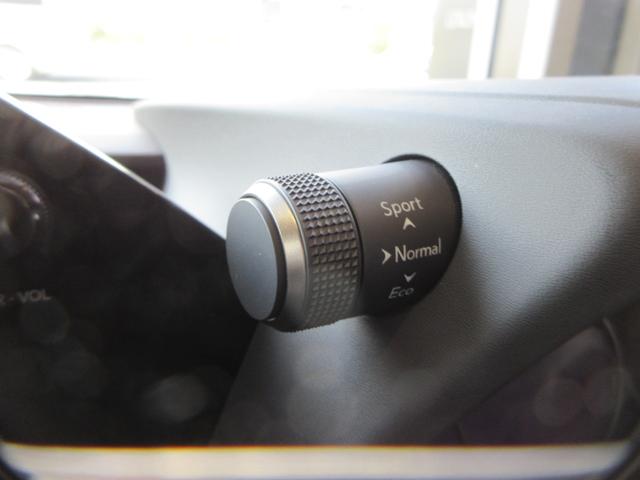 UX UX250h グレイスフル エクスプローラー 全周囲カメラパノラミックビューモニター ベンチレーション機能付きシートエアコン カラードアーチモール ハイブリット 認定中古車CPO(31枚目)