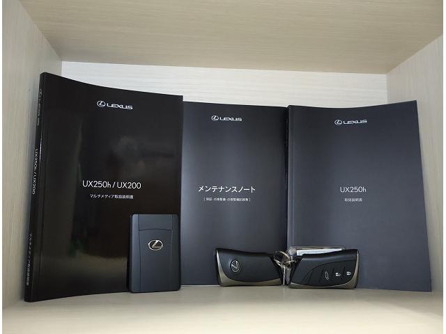 UX UX250h グレイスフル エクスプローラー 全周囲カメラパノラミックビューモニター ベンチレーション機能付きシートエアコン カラードアーチモール ハイブリット 認定中古車CPO(32枚目)