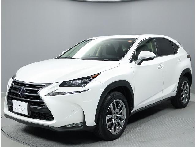 NX NX300h Iパッケージ ムーンルーフ パワーバックドア プリクラッシュセーフティシステム クリアランスソナー ブラインドスポットモニター ハイブリット(9枚目)