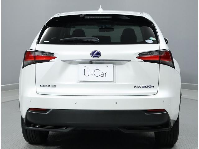 NX NX300h Iパッケージ ムーンルーフ パワーバックドア プリクラッシュセーフティシステム クリアランスソナー ブラインドスポットモニター ハイブリット(10枚目)