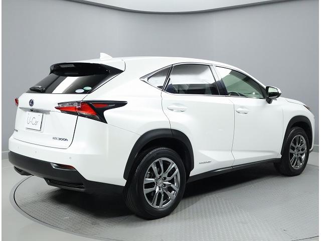 NX NX300h Iパッケージ ムーンルーフ パワーバックドア プリクラッシュセーフティシステム クリアランスソナー ブラインドスポットモニター ハイブリット(11枚目)