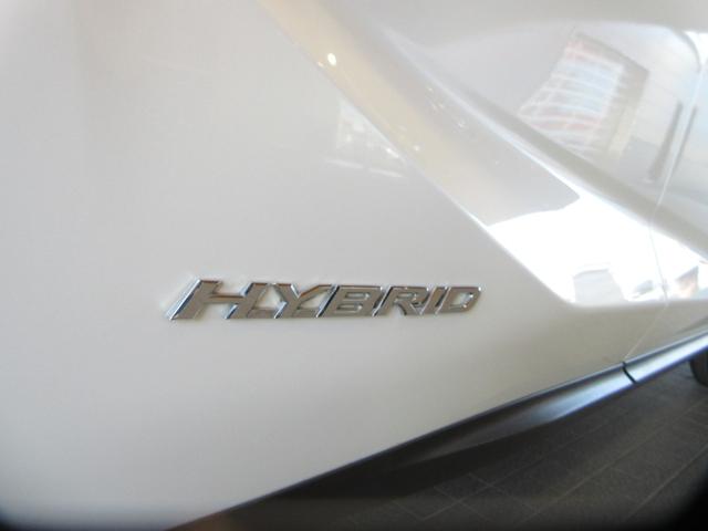 NX NX300h Iパッケージ ムーンルーフ パワーバックドア プリクラッシュセーフティシステム クリアランスソナー ブラインドスポットモニター ハイブリット(14枚目)