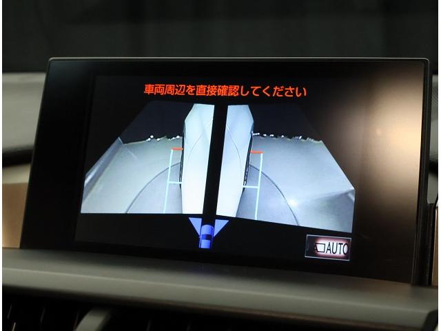 NX NX300h Iパッケージ ムーンルーフ パワーバックドア プリクラッシュセーフティシステム クリアランスソナー ブラインドスポットモニター ハイブリット(24枚目)