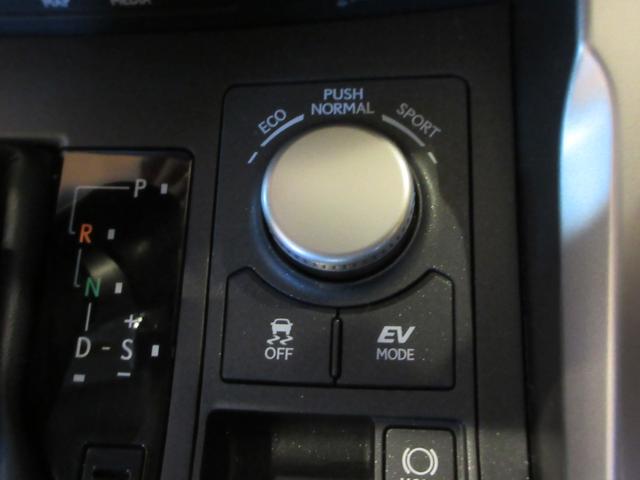 NX NX300h Iパッケージ ムーンルーフ パワーバックドア プリクラッシュセーフティシステム クリアランスソナー ブラインドスポットモニター ハイブリット(26枚目)