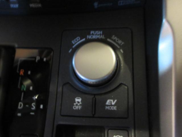 NX NX300h Iパッケージ ムーンルーフ パワーバックドア プリクラッシュセーフティシステム クリアランスソナー ブラインドスポットモニター ハイブリット(31枚目)