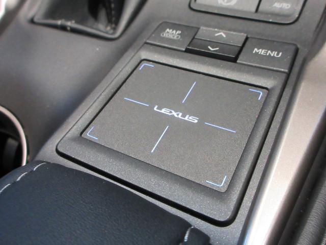 NX NX300h Iパッケージ ムーンルーフ パワーバックドア プリクラッシュセーフティシステム クリアランスソナー ブラインドスポットモニター ハイブリット(34枚目)