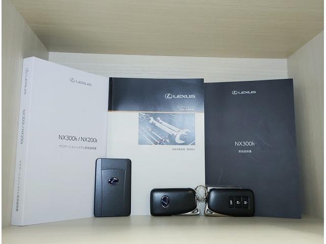 NX NX300h Iパッケージ ムーンルーフ パワーバックドア プリクラッシュセーフティシステム クリアランスソナー ブラインドスポットモニター ハイブリット(38枚目)