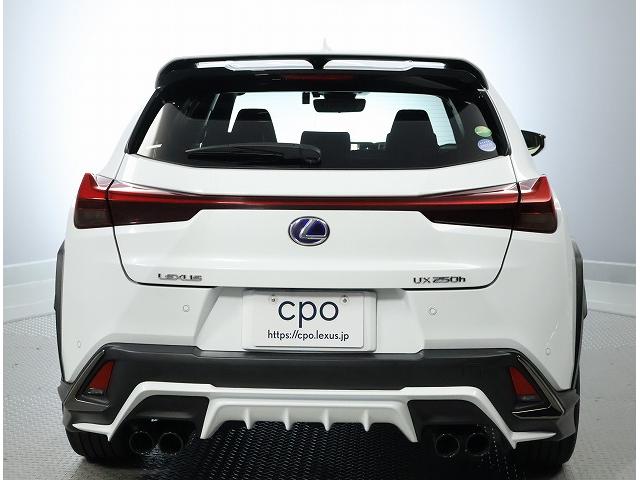 ＵＸ ＵＸ２５０ｈ　Ｆスポーツ（10枚目）