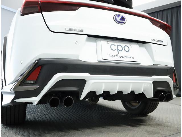 ＵＸ ＵＸ２５０ｈ　Ｆスポーツ（14枚目）