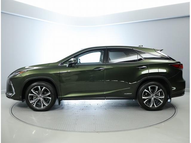 �y�b�o�n�����e�i���X�v���O�����z�w����̓_�������i�Ɋ܂܂�Ă���܂��B