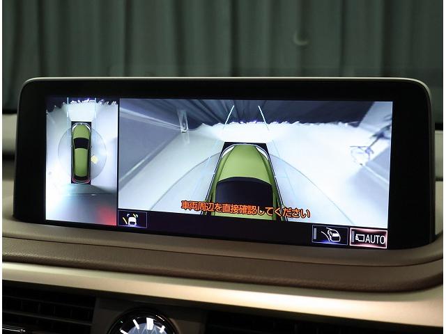 �p�m���~�b�N�r���[���j�^�[