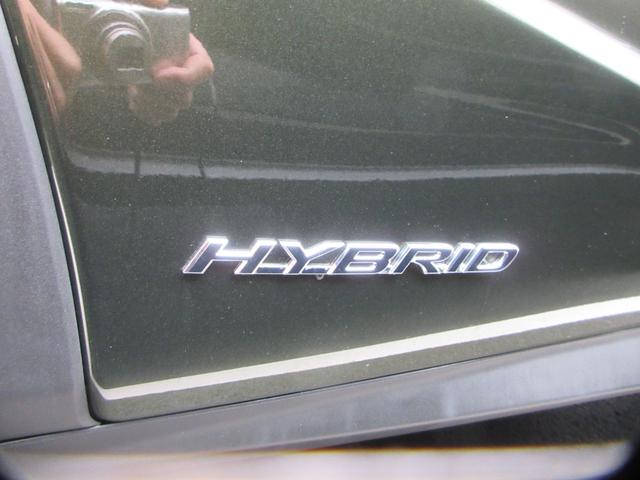 �n�C�u���b�h���f��