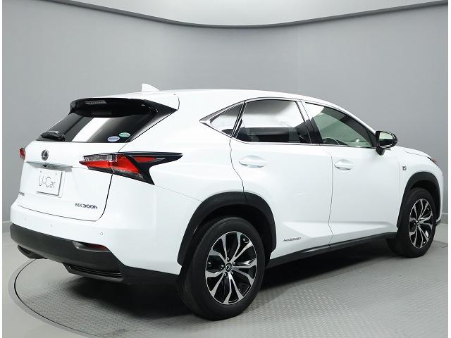 �O���ɂ͒ʏ�g�p�ɂ����̂Ǝv���鏝���������܂��B