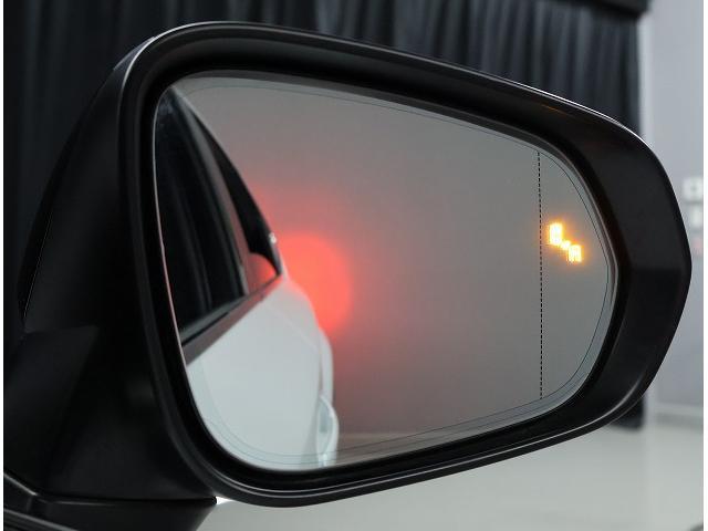 �u���C���h�X�|�b�g���j�^�[