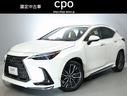 NX NX250 バージョンL パノラマルーフ マークレビンソンプレミアムサウンドシステム パノラミックビューモニター フルエアロ デジタルインナーミラー 認定中古車CPO 中古車画像_2