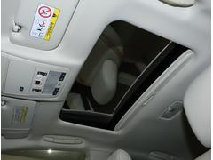 ȣ ȣӣ衡Сáࡼ롼աʥӡХå˥ 9510032A30250621W001 3